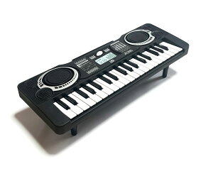 dqsAm mini dqIK L[{[h 37 dr q ~jTCY y킨 [sAi]