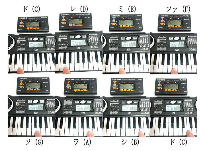 楽天市場】電子ピアノ mini 電子オルガン キーボード 37鍵盤 乾電池式 