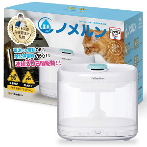 yybgHƉFz m ЊQΉ  L ݊ 2L Â Vv݌v ȃGl^Cv USB Type-C drؑւ R[hX \tB^[ 1t FelineBees[J[1Nۏ