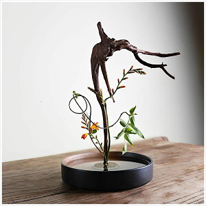 Flatland  Ԋ  20cm R ی^ SO 7cm ؓ  t[AWg