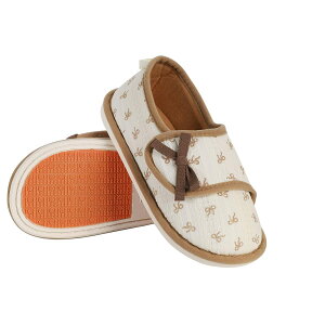 Thujopsis V[Y }^jeBV[Y nrV[Y p  Oo y ԕ  3TCY