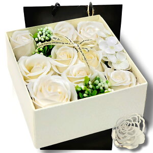 [Capiner] \[vt[ ԑ LO j NX}X KN v[g Mtg    a җ ̓ ̓ bZ[WJ[h VbvobOt