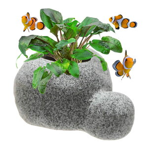 heizi    \C  t |bg ANAE  IuWF _J Mы