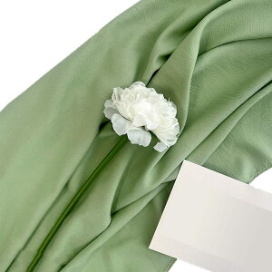 Lezalic �w�i�z ���l���� 300cm*250cm ���n ���n ���B�� �B�e�p ���� �ʐ^ ���p�r �V�����t���ɂ��� �o�b�N �X�N���[�� �X�^�W�I �z �N���X