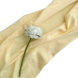 Lezalic wiz l 300cm*250cm n n B Bep  ʐ^ pr Vtɂ obN XN[ X^WI z NX