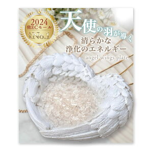 kirakushop 򉻎M Vg̉H u uM 򉻃ObY p[Xg[ M   zCg GWF