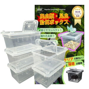 UTST P[X ^ Rei {bNX Ct 11cm 19cm  E c ɐB