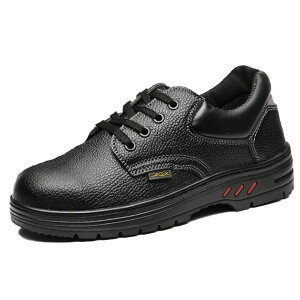 [fm@@e[] [ Jbg B ݔ h~ SC ƌC Y ML-AGL