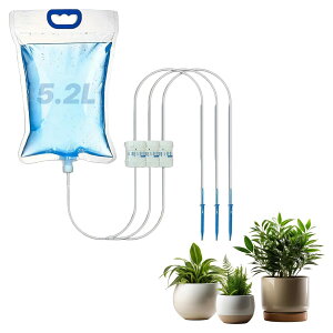 Nex1ne @ 5.2L ʒ _C A   _H ϗtA ~ Aؔ  sS