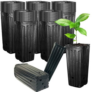 SALUDABLE |bg c|bg v^[ [^ O ||bg Aؔ rj[ c