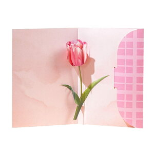 CAWKAY 3DbZ[WJ[h Ԉ ̃|bvAbvJ[h LO a яoJ[h j Mtg l ̓ t