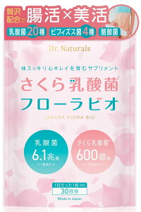 _ t[rI hN^[i`Y _ rtBYX _ GNI[ ۊ Tv 6.1 voCIeBNX Ck IS ibgELi[[  30 (30