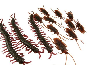 IWipbP[W ObY W[NObY ނ5C Ԃ30C SLu Jf  hbL