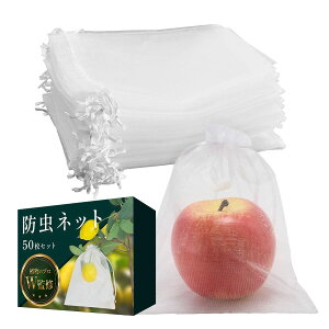 hlbg i20×15cmx50ZbgjyA琬̃vWďCzԂ̊ȒPxWȂ