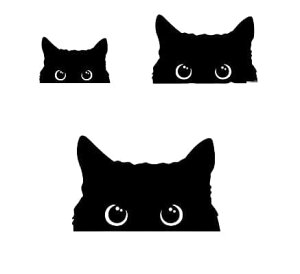 bubulu L Ԃ̃XebJ[ 킢 L XebJ[ Ԃ̃XebJ[  ①  KX fR[V C̎qL OZbg