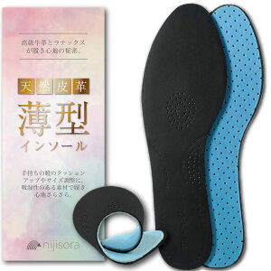 NIJISoRa ~ fB[X Ȃ C p vC C\[ fB[X pvX ~ ^