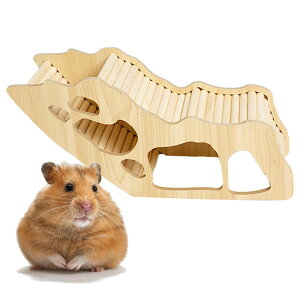 TOMMYFIELD nX^[ObY B ^s  gl ؐ  