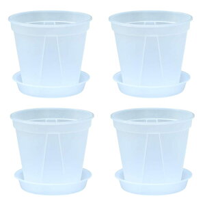 ateena Aؔ vX`bN Xbg  ϗtA  4 5 Mt 4Zbg B