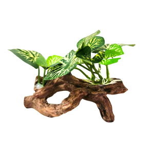 COZENTA   lH A  ANZT[