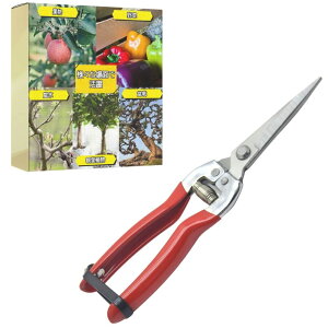 ideamall  ͂ |p͂ |Yf|n  ʎ ؂̙ ~͙p