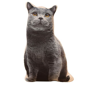 TOMMYFIELD |jA ʂ ObY ʂ A  ӂӂ 3D [sAi]