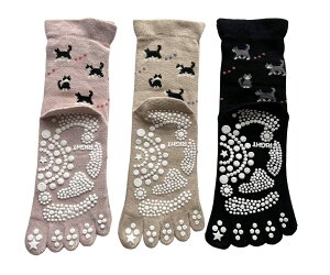 [[hZNg] 5{w\bNX fB[X X|[c ~ߕt 5{wC fB[X K\bNX  S c{ L ȍ 3ZbgiF͂Cj