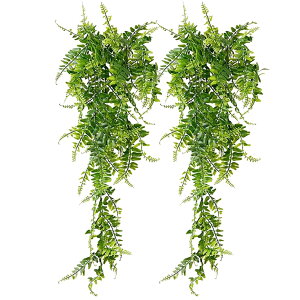 MONOSTORE tFCNO[ ϗtA tFCN CeA  Vv Ǌ| ACr[ O[J[e Ǐ  ݂艺 S80cm