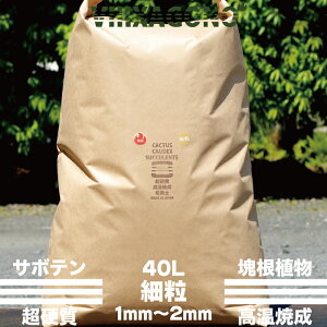 ハオルチア 用土の人気商品 通販 価格比較 価格 Com ハオルチア 用土の人気商品 通販 価格比較 価格 Com