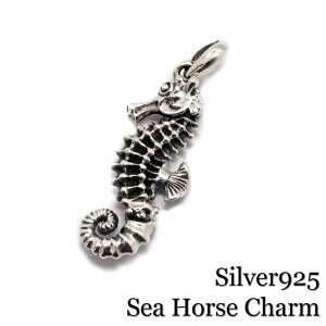 Y y_g Vo[925ySea Horse Charmz^cmIgVS V[z[X SeaHorse `[ Vo[925 C I Vo[ANZT[ @