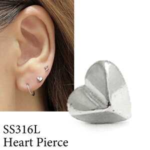 n[g sAX Vv n  AM[Ή Vo[ SS316L T[WJXeX