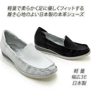 y15ItzJWA V[Y fB[X {v Xb| Tui Jb^[ L { INVINA 12063   [t@[ Xj[J[ ₷ lC y  Z[