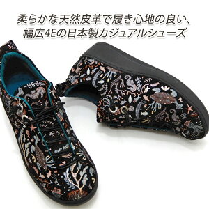 C fB[X JWA V[Y vg  L 4E {v { INVINA CBi 2560 NP y SR Xj[J[ 