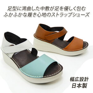 Xgbv V[Y fB[X {v EGbW\[  { Put's 41425 I[vgD }WbN y L ₷ t  40 50  Z[