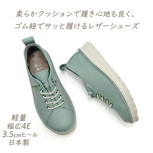 C JWA fB[X Xb| V[Y {v O[ L 4E { EGbW\[ DOLA h[ 7282 SR ~g y ₷ Xj[J[ 