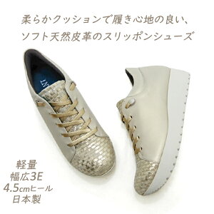 Xj[J[ fB[X  Xb| L 3E {v SR INVINA CBi 4403 S[h ^bN EGbW\[ { C V[Y ₷ 