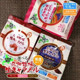 花畑牧場 生キャラメル 常温袋タイプ 選べる3種類　各40g（標準10粒入）（プレーン 北海道いちご チョコレート の中から1種類）　北海道産 スイーツ 手造り ばらまき とろける