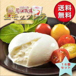 @Ԕq@bc@ u[^ `[Y 70g×16 ①@kC yY  v[g@@Ε Mtg ̓ ̓ Ԃ