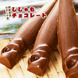 楽天市場 おもしろ チョコレート バレンタイン その他 チョコレート スイーツ お菓子の通販