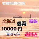 北海道復興 北海道支援 福袋 送料無料 冷凍便 1万円(Bセット) イクラしょうゆ漬200g×1箱・ほたてステーキ×1袋・ほっけ一夜干し×1枚・紅鮭切り身×1袋...