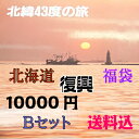 北海道復興 北海道支援 福袋 送料無料　冷凍便　1万円(Bセット) イクラしょうゆ漬200g×1箱・ほたてステーキ×1袋・ほっけ一夜干し×1枚・紅鮭切り身×1袋...