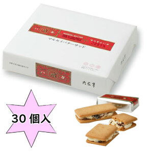 ZԒ }ZCo^[Th 30 kC yY َq@XC[c@񂹁@[YTh v[g@@Ε@Mtg ̓ ̓ Ԃ hV̓