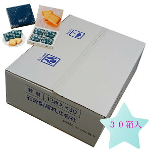Ή l 12×30(1P[X)@ zCg`R[g@َq `R[g XC[c kC yY  v[g NX}X o^C zCgf[ NbL[ 