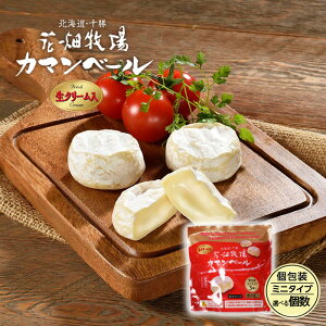 Ԕq J}x[ v[ ~j^Cv  Iׂ! 6 or 12  i``[YэL `[Y J}x[`[Y lߍ킹 ܂ Mtg ܂ kCyY 