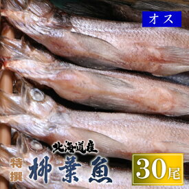 北海道産 特選 生干 柳葉魚 オス 30尾 送料無料 葛西水産 ししゃも シシャモ 国産 干し お歳暮 内祝い お返し ギフト 北海道 食べ物 食品 高級 海鮮 海産 誕生日 プレゼント お取り寄せ グルメ 詰め合わせ 景品 結婚 出産 60代 70代 御歳暮 父 母 お礼 冬ギフト