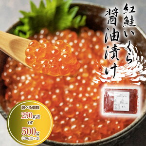 ʌ g  ݖЂ Iׂ 250g  500g kC f aHi  CN CN  R 芪 i 炵 ̓ Mtg ikura  Mtg R͊ Ⓚ ܂ hV̓