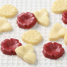 六花亭 六花の森 チョコレート （ハマナシ4個、オオバナノエンレイソウ4個、エゾリュウキンカ4個） 北海道お土産 お取り寄せ 贈り物 お返し 大量 子供 プチギフト かわいい 可愛い バレンタイン ばらまき用 ギフト 個包装 プレゼント 敬老の日 孫から