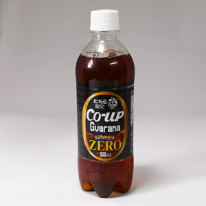 �k�C������ �R�A�b�v�K���i �J�����[�[�� 1�P�[�X 500ml 24�{ ��������������Џ��� �h�����N �W���[�X �Y�_ �y�b�g�{�g�� �X�p�[�N�����O ������ �܂Ƃߔ��� �K���i �����n �u���W�� ���y�Y 