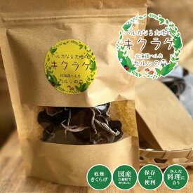ハルカなる大地のキクラゲ 北海道ハルカ カルシの森 国産 乾燥 きくらげ 18g木耳 日本産 きのこ キノコ 食品 高品質 菌床 美味しい 菌床は日本で初のキノコの有機JAS認証