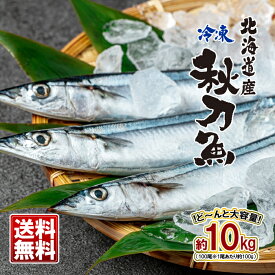 業務用 北海道産 冷凍さんま 10kg（※100g前後の秋刀魚が100尾） 送料無料さんま 秋刀魚 サンマ 冷凍 1業務用 エサ 釣り お歳暮 クリスマス 贈答 グルメ