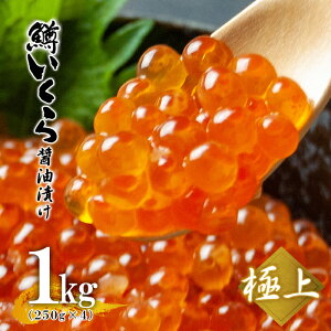 Ɩp ɏ̖  ݖЂ 1kgi250g×4j ER{V/   t 傤 CN / kCYW Hs CN CY Mtg   CN Ε@ 